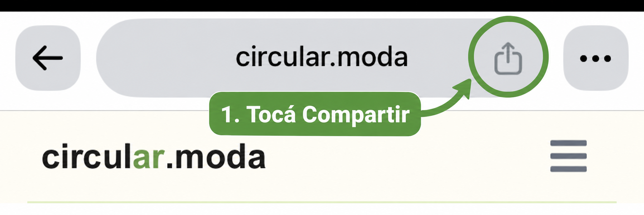 Botón Compartir de Safari señalado para instalar Circular Moda